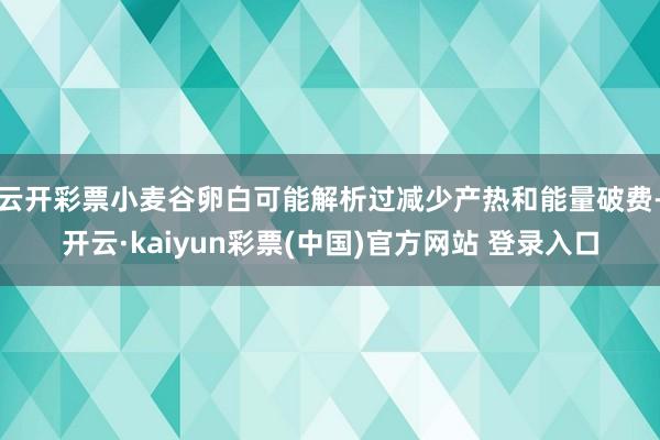 云开彩票小麦谷卵白可能解析过减少产热和能量破费-开云·kaiyun彩票(中国)官方网站 登录入口